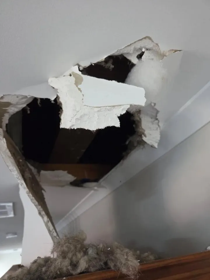 Hole in an Epsom ceiling before repair