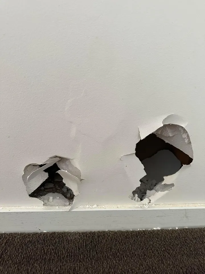 Holes punched in a wall in Epsom before repair